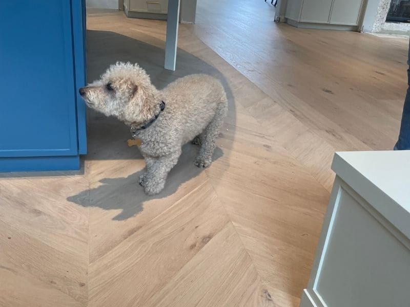 Custom whitewashed finish on oak flooring - Malibu beach house